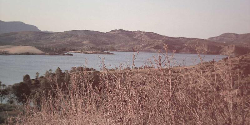 VI设计与平面设计新维度：打造包容可及的视觉识别系统