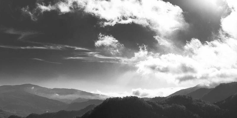 VI设计中的传承与革新：平面设计如何平衡品牌历史与创意视觉的未来