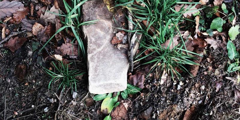 中小企业品牌设计策略：如何通过低成本平面设计打造高辨识度企业形象