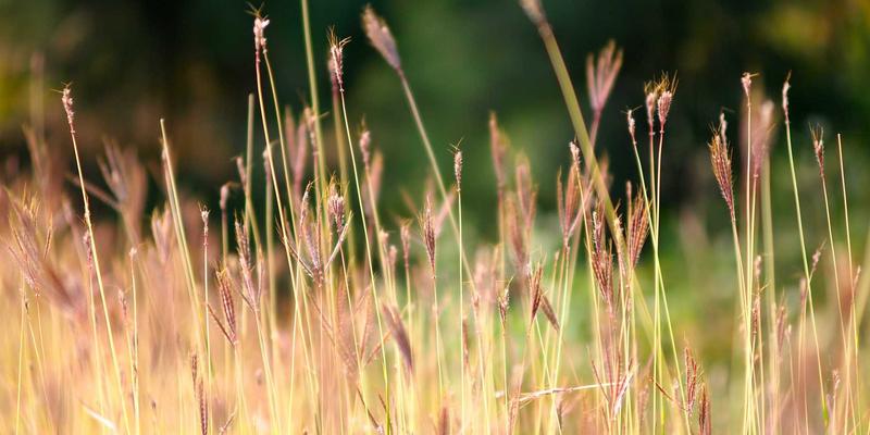 从孟菲斯风格到企业形象：创意视觉如何重塑品牌设计发展