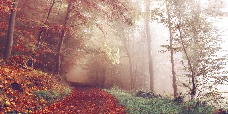 创意视觉如何驱动购买：揭秘品牌设计与消费者决策的心理机制