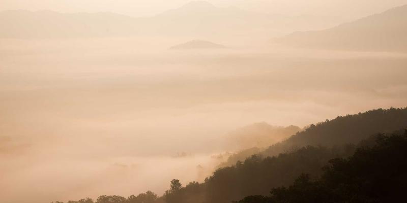 创意视觉的极致演绎：奢侈品品牌如何通过VI设计塑造不朽企业形象