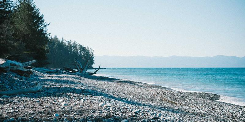 品牌设计14：VI设计与平面设计如何构建强大的视觉识别系统