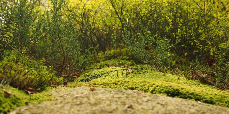 品牌设计20：VI设计、企业形象设计与平面设计的融合与创新