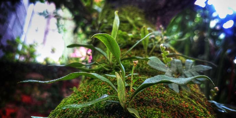 品牌设计29：创意视觉与视觉识别系统的融合之道