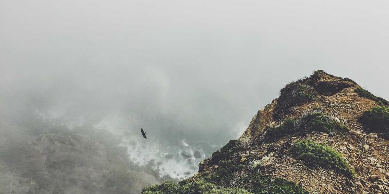 品牌设计39：构建卓越视觉识别系统的三大核心维度