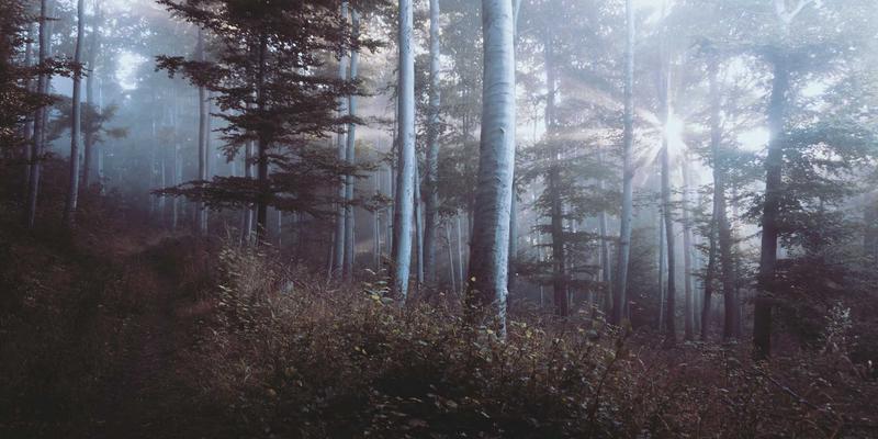 品牌设计42：当孟菲斯风格重塑企业形象设计