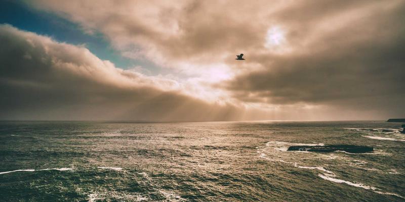 品牌设计59：创意视觉与视觉识别系统的融合之道