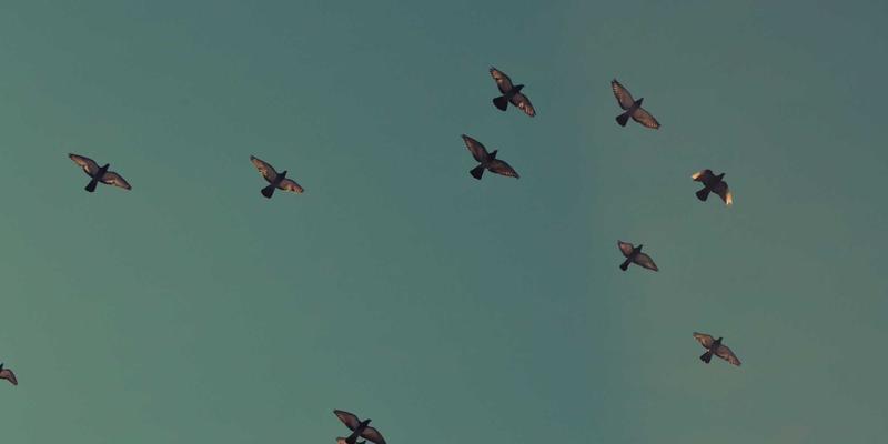 品牌设计90：融合孟菲斯风格的企业形象设计与VI创新