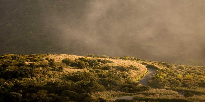 品牌设计94：当VI设计邂逅孟菲斯风格，重塑视觉识别系统的游戏规则