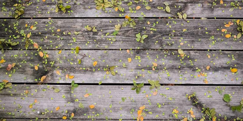 品牌设计进阶指南：从视觉识别系统构建到孟菲斯风格创新