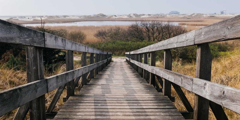 孟菲斯风格复兴：如何将潮流基因注入企业形象设计与视觉识别系统