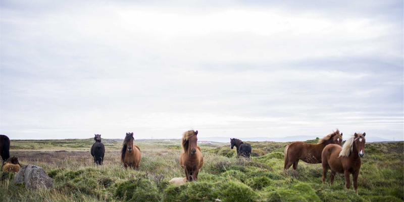 孟菲斯风格设计：如何为品牌注入反叛、趣味与视觉冲击力