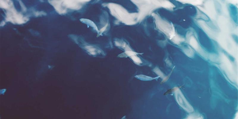 平面设计的微观美学：奢侈品VI设计如何通过视觉识别系统塑造顶级感知