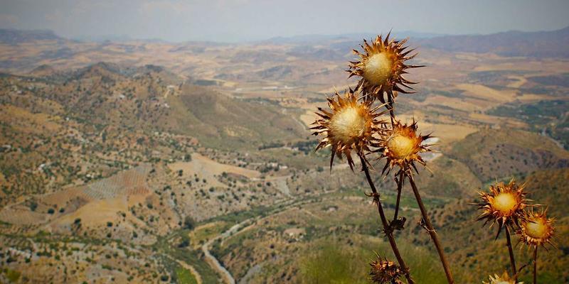 数据驱动品牌设计优化：如何通过A/B测试提升VI与平面设计效能