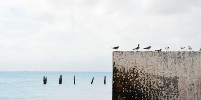 构建与管理品牌设计系统：确保企业形象设计与创意视觉的跨平台一致性