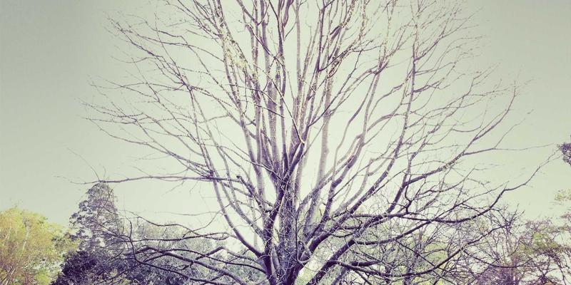 视觉识别系统的色彩密码：如何通过VI设计中的色彩心理学影响用户决策